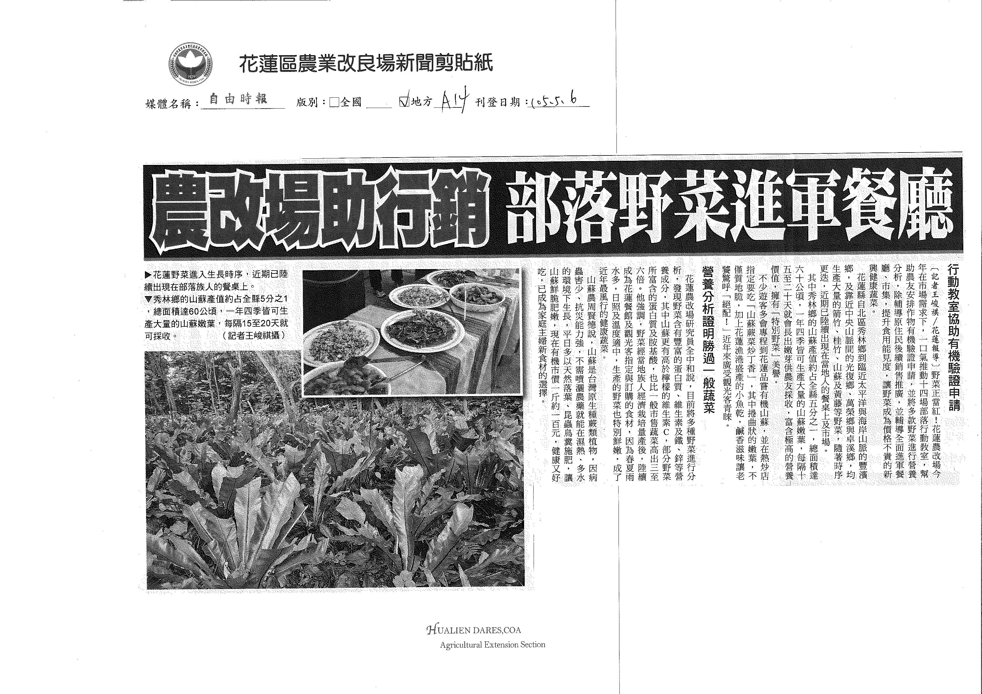 農改場助行銷　部落野菜進軍餐廳-1050506自由時報
