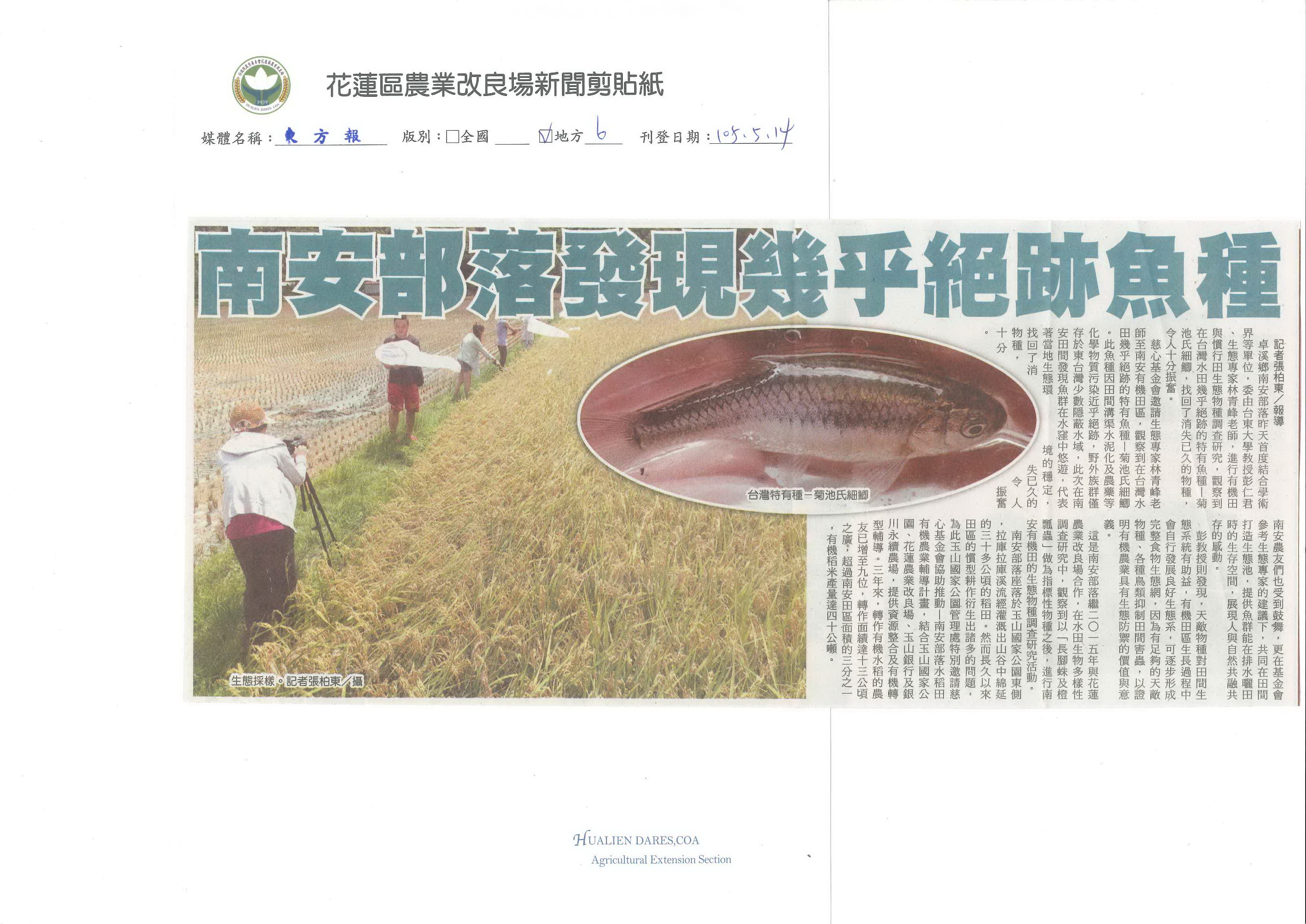 南安部落發現幾乎絕跡魚種-1050514東方報