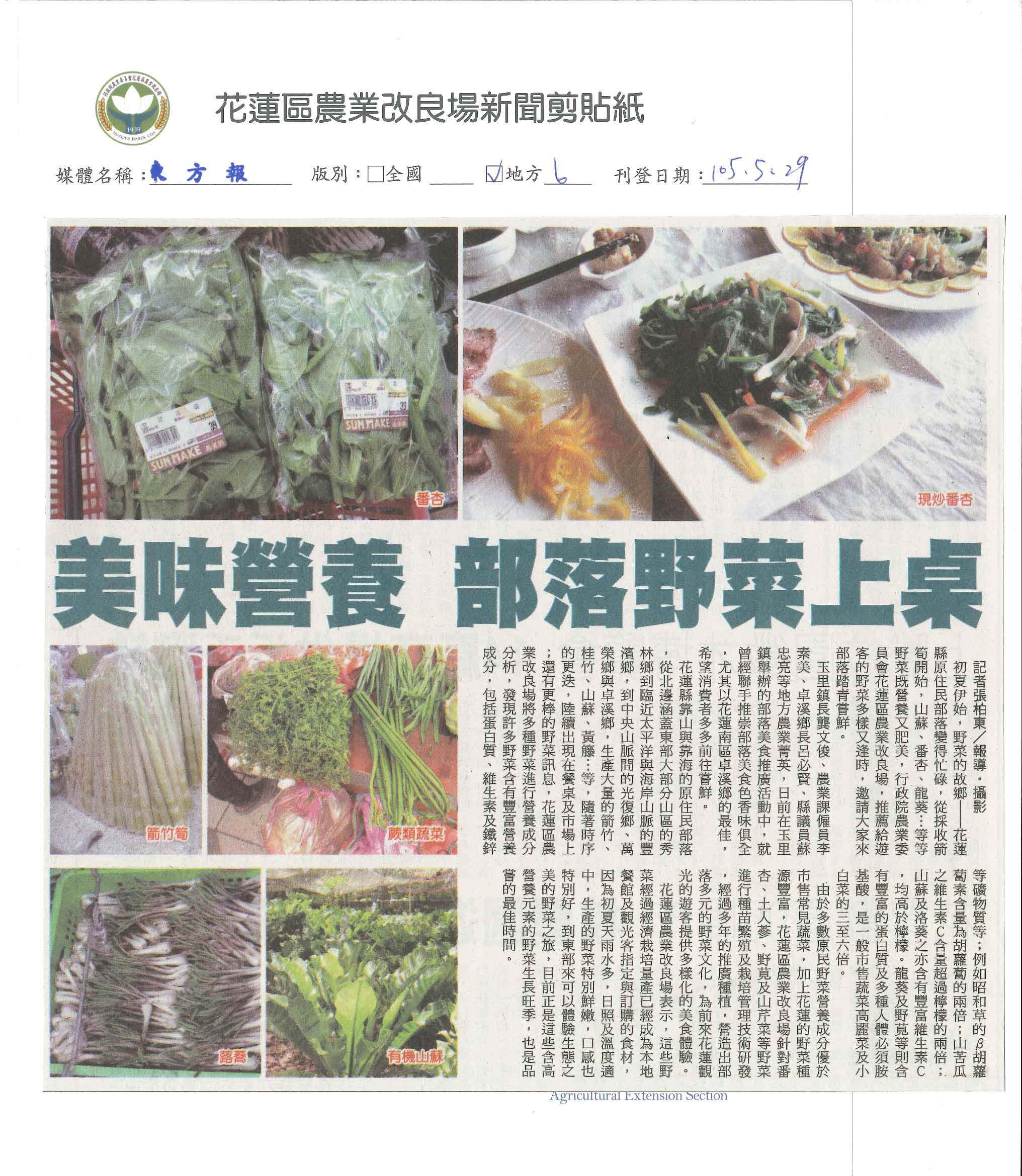 美味營養　部落野菜上桌-1050529東方報
