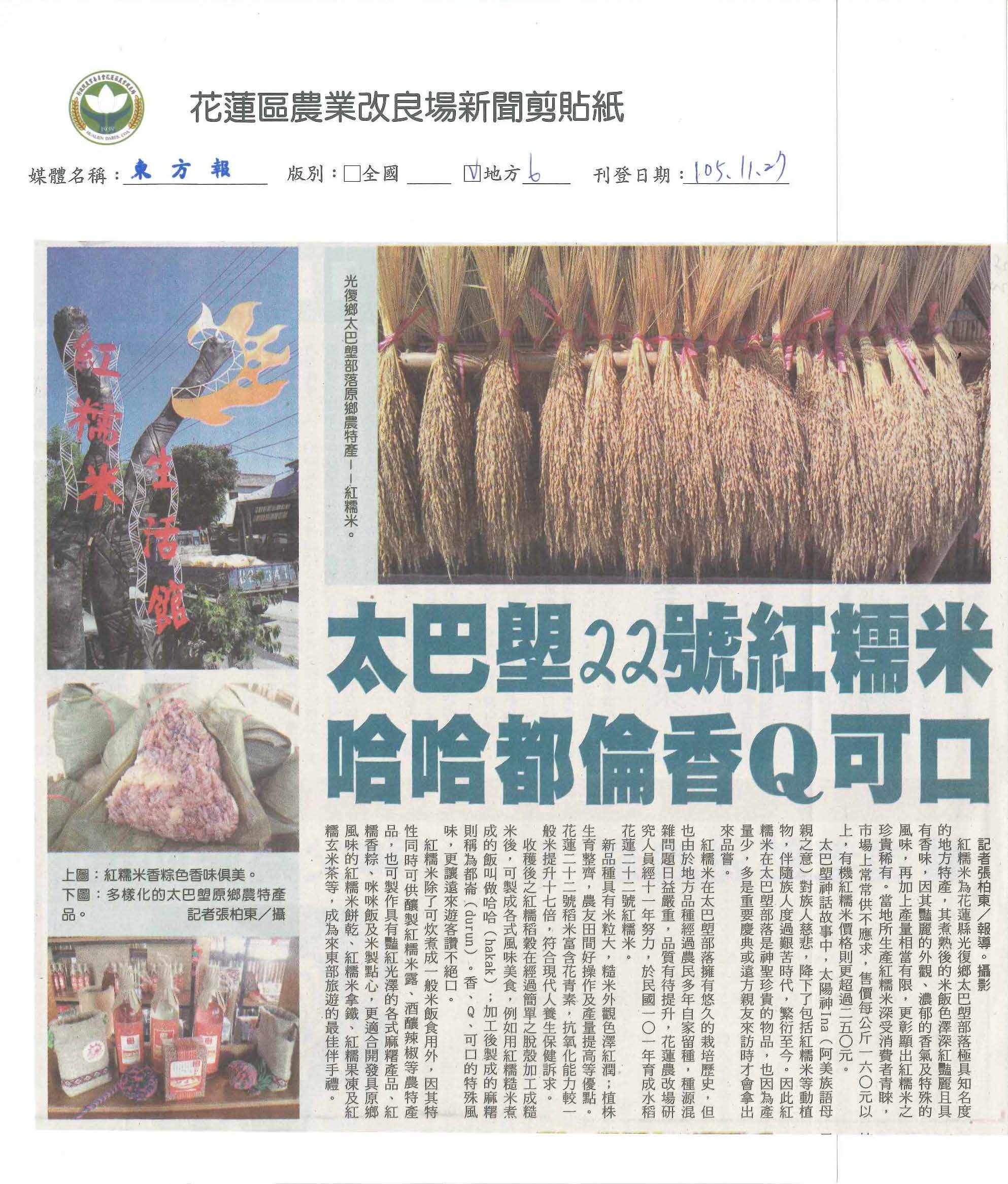 太巴塱22號紅糯米　哈哈都倫香Q可口-1051127東方報