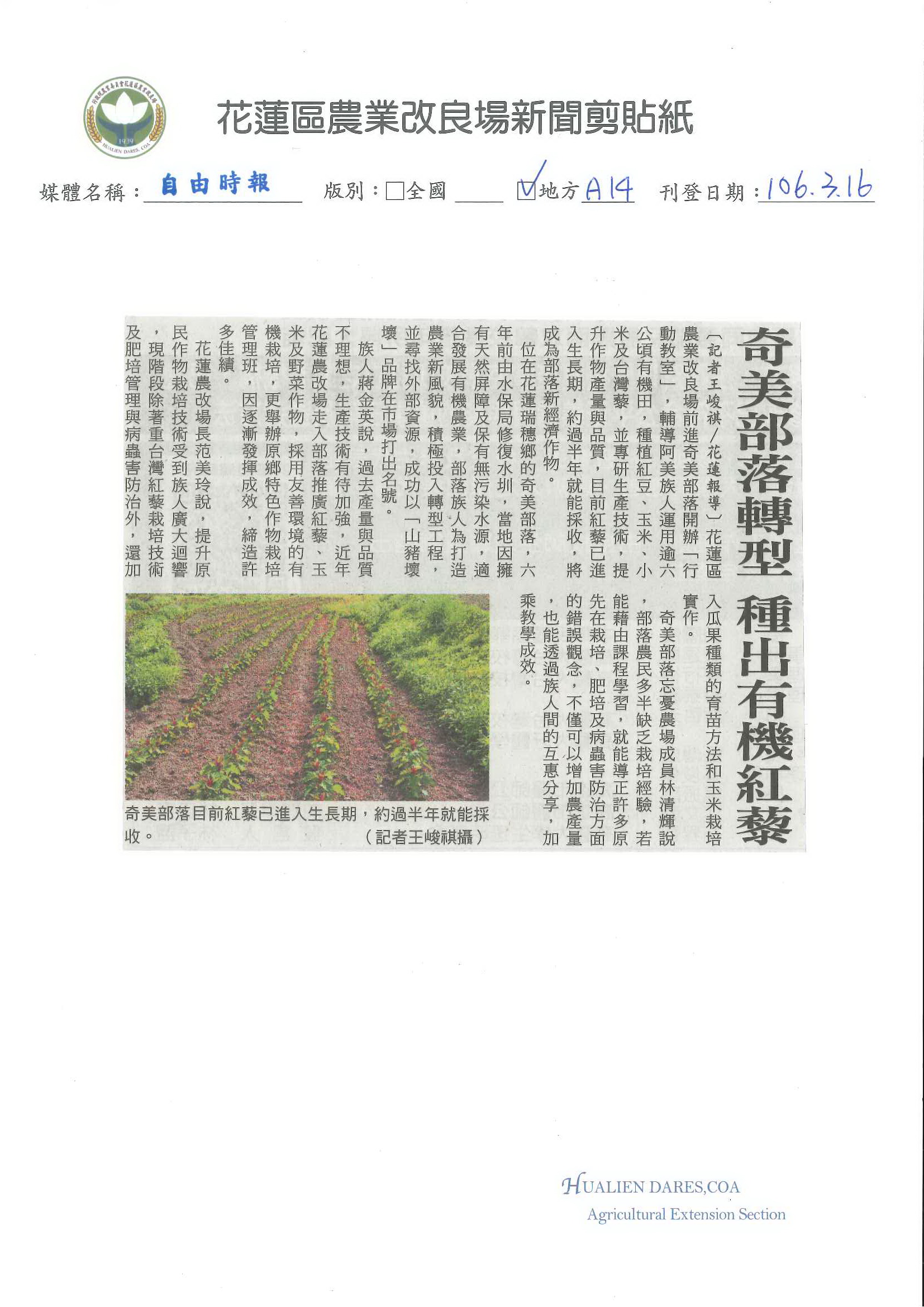 奇美部落轉型　種出有機紅藜-1060316自由時報