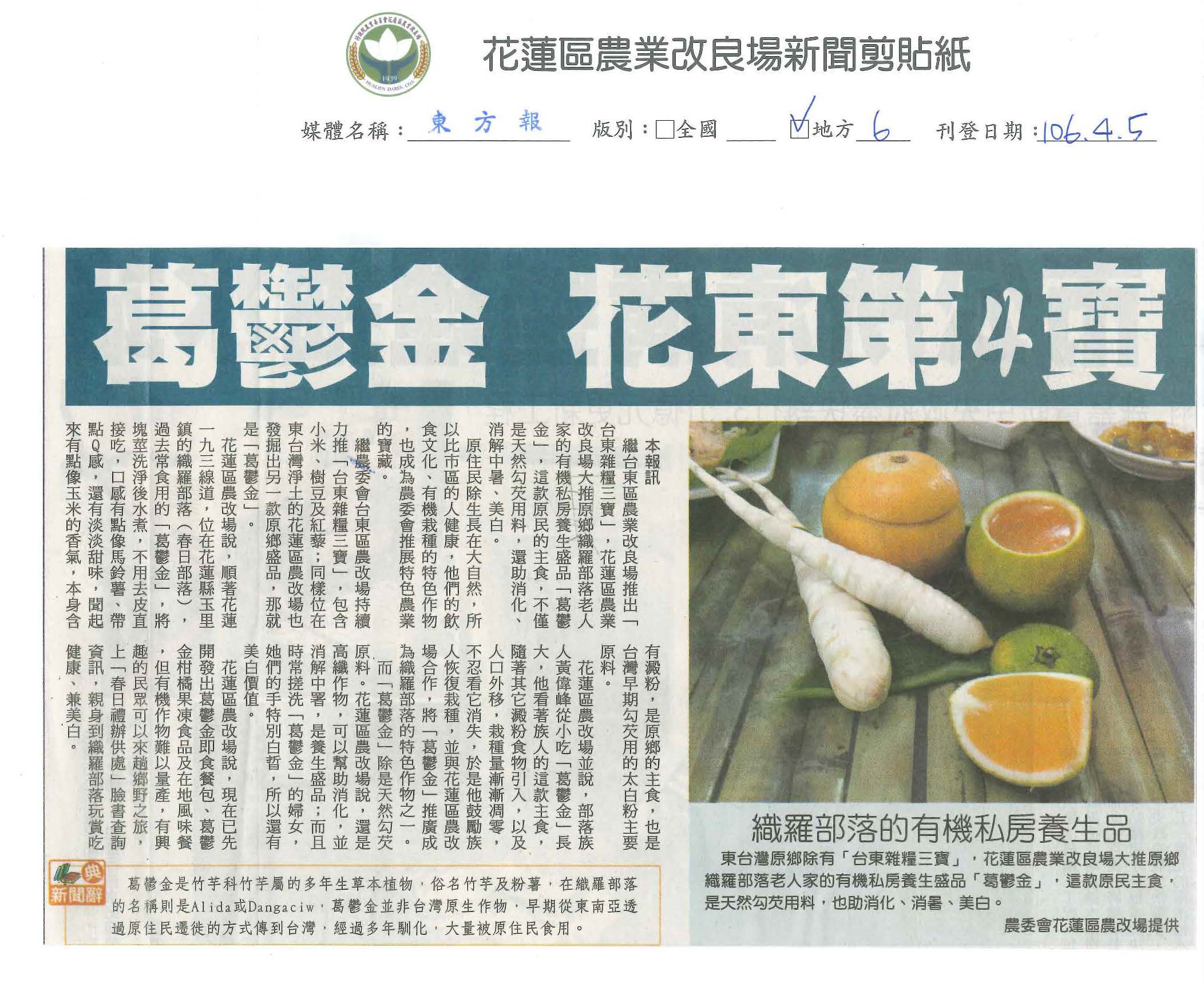 葛鬱金　花東第4寶-1060405東方報