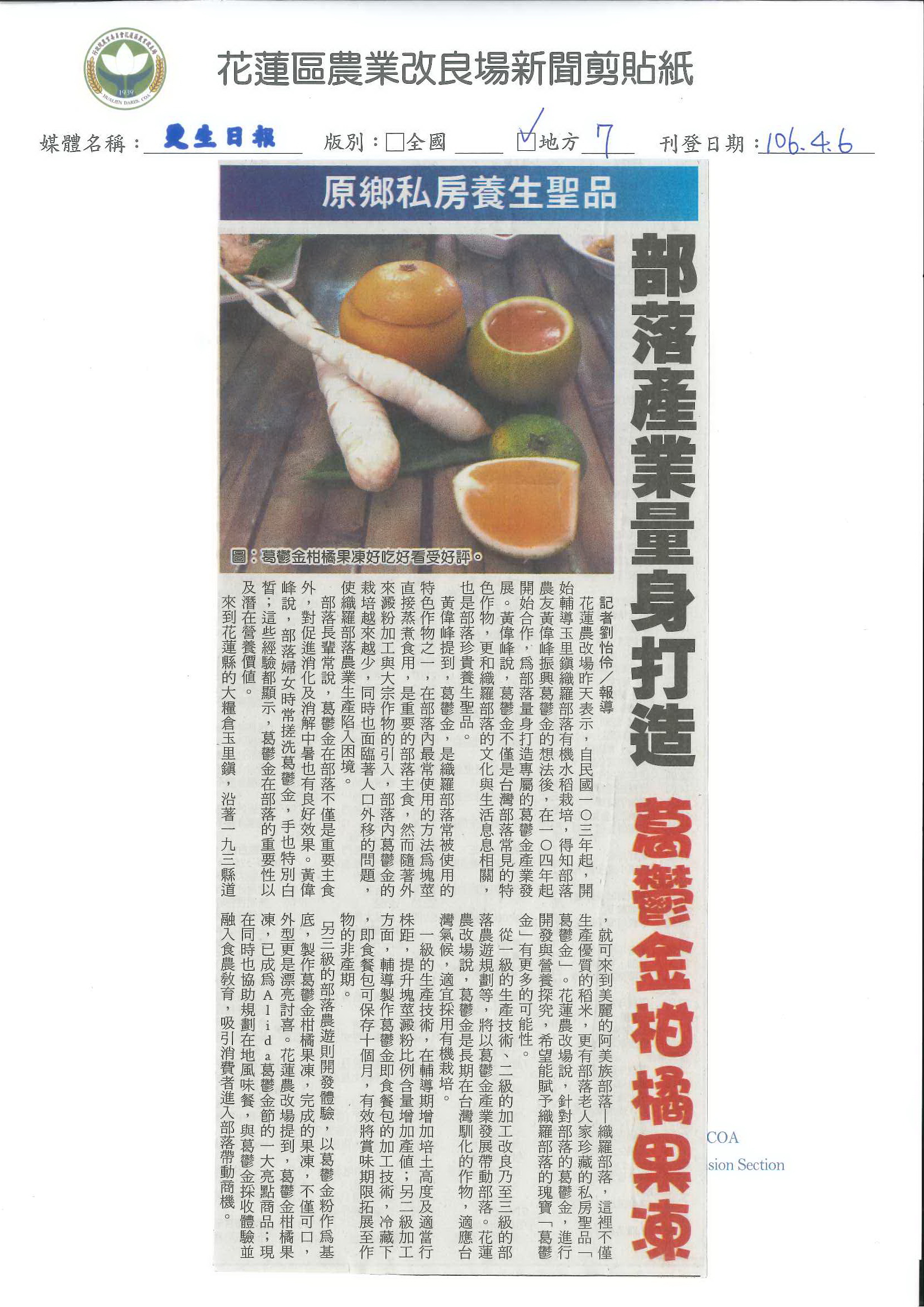 原鄉私房養生聖品　部落產業量身打造　葛鬱金柑橘果凍-1060406更生日報