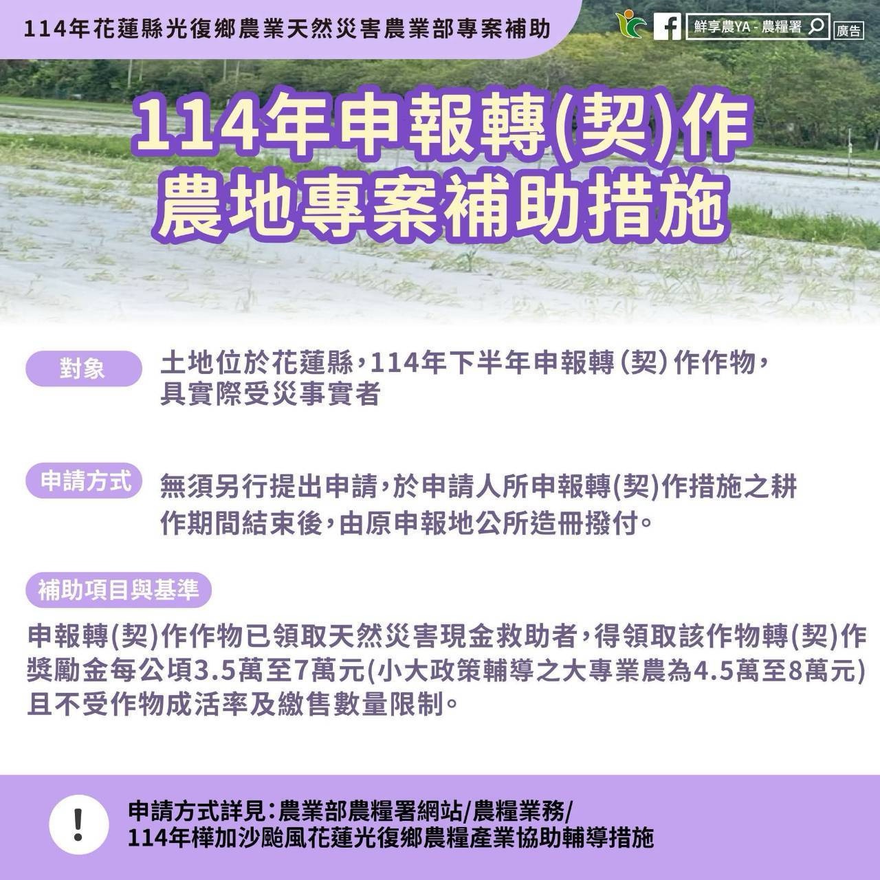 114年申報轉(契)作農地專案補助措施 114年申報轉(契)作農地專案補助措施