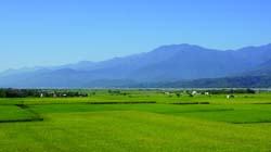 織羅部落擁有美麗的稻田景觀，除了有機栽培外，也適合發展休閒旅遊產業