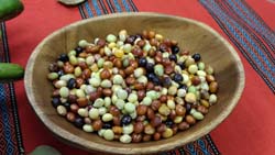 蛋白質含量豐富的樹豆是勇士補充體力的重要食物