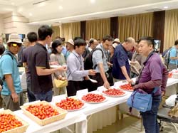 本場王啟正副研究員(右一)至泰國試種抗病番茄，部分品系表現優異，深獲當地種苗業者喜愛