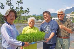 部落吳連妹阿嬤(左二)特地拿出珍藏的陸稻種子,期望把祖先留下來的稻米種回來(左一為部落黃俊龍農友、右二為O'rip負責人黃啟瑞、右一為宣大平秘書) 部落吳連妹阿嬤(左二)特地拿出珍藏的陸稻種子,期望把祖先留下來的稻米種回來(左一為部落黃俊龍農友、右二為O'rip負責人黃啟瑞、右一為宣大平秘書)