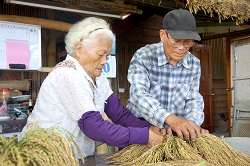 吳連妹阿嬤示範部落傳統曬穀方法