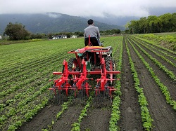 恭賀本場附掛式旱田除草機參加2019台灣創新技術博覽會　榮獲發明競賽金牌獎