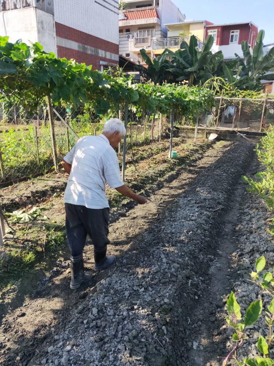 目前家人所吃的菜,大部份是饒富奇種出來的 目前家人所吃的菜,大部份是饒富奇種出來的