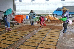 平日都是帶著一群短工在外工作;規劃今天要完成的,絕不會留到明天 平日都是帶著一群短工在外工作;規劃今天要完成的,絕不會留到明天