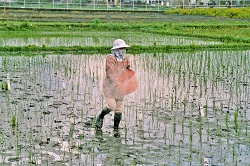即使田間吃重的工作也難不倒她 即使田間吃重的工作也難不倒她