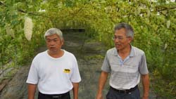 黃王杰農友（左）表示本場育成的苦瓜新品種，不只是鮮果，連葉子大家都搶著要，他更將產品銷售至東南亞市場