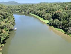 昆士蘭東北部的熱帶雨林