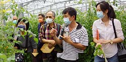 本場植保研究室林立助研員輔導賴志昇農友以天然防治資材－瘋熱友防治番茄捲葉病毒。於3月24日觀摩會向現場農友說明非農藥防治的好處，並分享友善栽培經驗