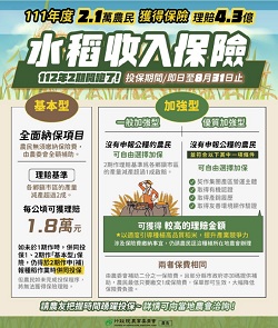 水稻收入保險 112年2期開跑了 投保期間/即日至8月31日止 水稻收入保險 112年2期開跑了 投保期間/即日至8月31日止
