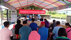 本場在壽豐辦理水稻整合性管理減藥示範觀摩會 本場在壽豐辦理水稻整合性管理減藥示範觀摩會