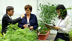 本場介紹有機、生態及原住民農業相關研究成果