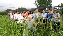 本場帶領臺大生物多樣性研究中心教授們至場內以及民間業者小米保種田區