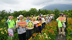 本場於嘉德花園召開萱草觀摩會，一次可看到７個品種
