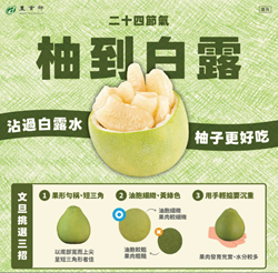 二十四節氣　又到白露