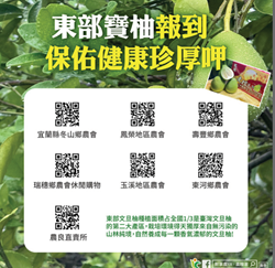 東部寶柚報到　保佑健康珍厚呷