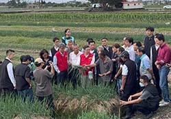 行政院卓榮泰院長及農業部陳駿季部長關心宜蘭農損　本場亦即時至轄區宜蘭花蓮勘查農業災情