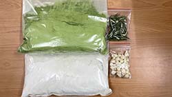 火蔥粉加工技術生產之火蔥粉末素材