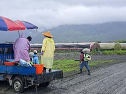 本場協助光復受災農友大豆栽培