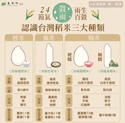 穀雨　認識台灣稻米三大種類