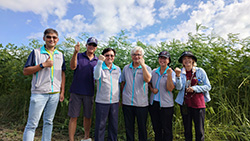 本場於中度受災區莊國斌農友(左二)設試驗點,土壤改良後,田菁長得比人還要高 本場於中度受災區莊國斌農友(左二)設試驗點,土壤改良後,田菁長得比人還要高