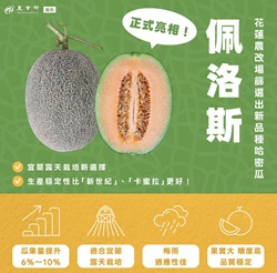 哈密瓜佩洛斯正式亮相