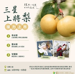 三星上將梨接力上市