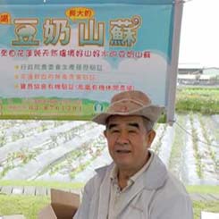 豆奶山蘇周寶財