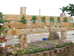 志學有機農場可買到健康的苦瓜花蓮1號