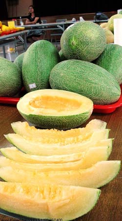 正港哈密瓜在壯圍