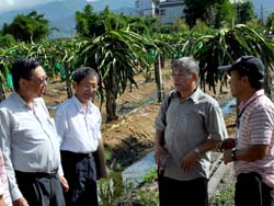 農委會黃有才副主委(左)與本場黃鵬場長(中)於會後，由火龍果產銷班 石松枝班長(右)帶領參觀果園談