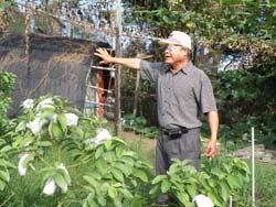 戴森池農友於果園分享根瘤線蟲 綜合防治經驗