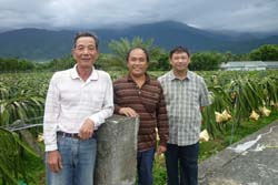李清秋班長(左一)很自豪身後那片美景彷彿在日本班員楊高林農友(左二)除種植有機紅龍果外，另有生產高品質苦茶油及金針