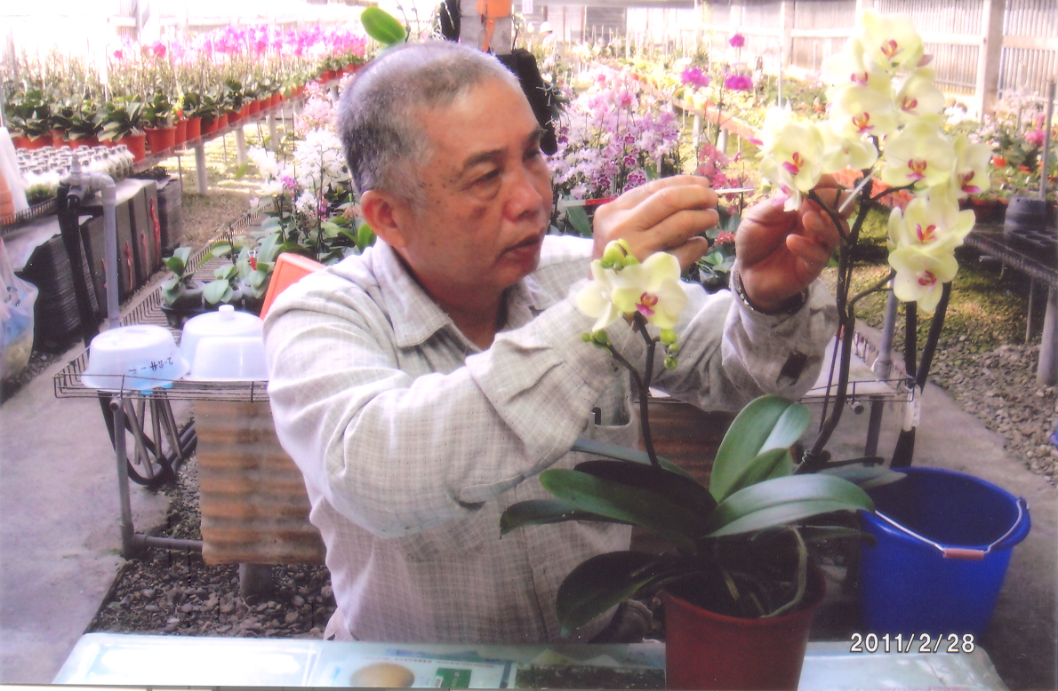 從15歲就開始蘭花育種的劉定榮先生，手中這株綠花紅眼 的蝴蝶蘭，就是他引以為傲的 'The Pride of 
Taiwan'－ 台灣之光