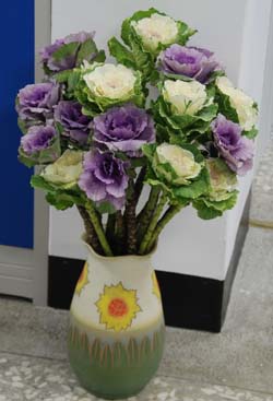 葉牡丹隨性插花即很美觀 