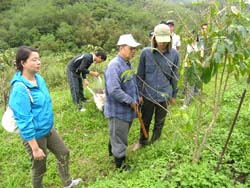 本場研究人員與陳烈旗農友討論咖啡生長