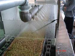 連續式溫湯稻種溫湯消毒機，促進有機秧苗之實現