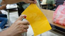 自製黃色黏版，將黃色色紙置入透明塑膠袋密封後，兩邊噴黃色黏膠，外層塑膠可隨時替換