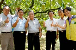 農委會陳文德副主委訪視瑞穗文旦