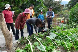 從自家菜圃開始，落實有機生活化