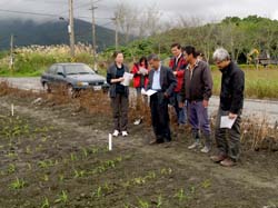 本場於鳳林鎮徐明堂農友田區,進行硬質玉米品種以及栽培期試驗。黃鵬場長視察試驗生長情況,並鼓勵農民朝政府推動之契轉作以及種植有機作物等方向,進行轉型 本場於鳳林鎮徐明堂農友田區,進行硬質玉米品種以及栽培期試驗。黃鵬場長視察試驗生長情況,並鼓勵農民朝政府推動之契轉作以及種植有機作物等方向,進行轉型