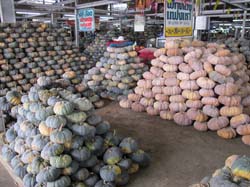 Talaad Thai的蔬菜市場內待售的南瓜