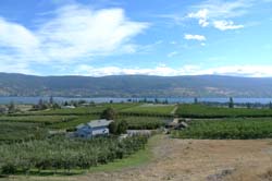 夏地的果園，園區規畫相當整齊